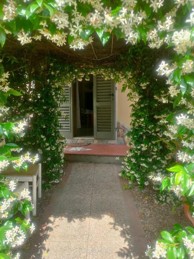 La Casa Di Fiorella Cerreto Guidi Exterior foto